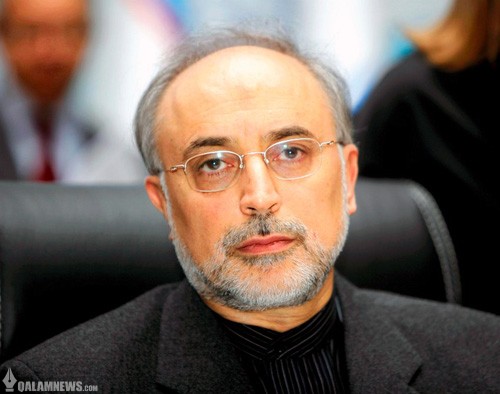صالحی: تغییر رفتار با عزم دولت آقای روحانی منجر به توافق شد