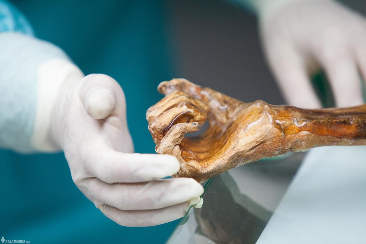 تصاویری از جسد مرد یخی ۵۳۰۰ ساله معروف به “اوتسی”  + فیلم