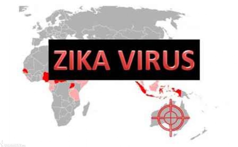 هشدار سازمان جهانی بهداشت درباره ویروس زیکا