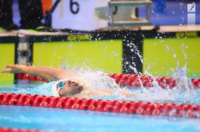 انتقاد پرافتخارترین شناگر بازی‌های پاراآسیایی جاکارتا از شرایط تغذیه اردو تیم ملی
