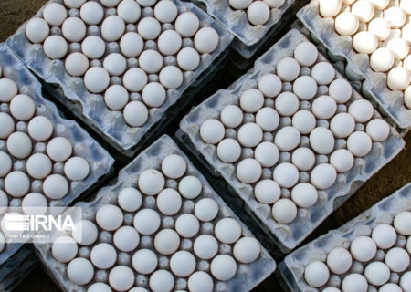 توقیف ۴۳ تن تخم مرغ قاچاق در مرز خسروی