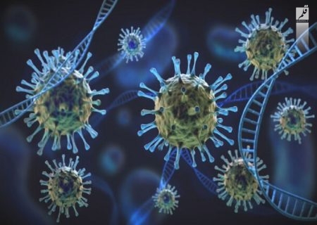 ثبت ۲ فوتی و شناسایی ۷۴ مورد مبتلا به کرونا ویروس در ۲۴ ساعت گذشته