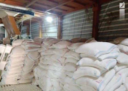 هزار تن خوراک دام قاچاق در “کنگاور” کشف شد