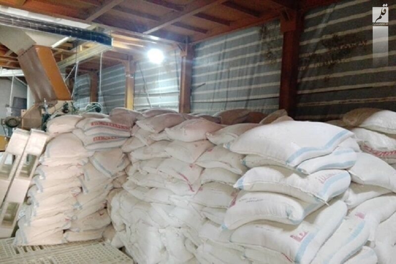 هزار تن خوراک دام قاچاق در “کنگاور” کشف شد