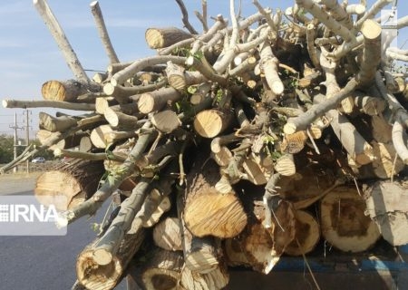 کشف بیش از ۱۳ هزار کیلوگرم چوب غیر مجاز در فراهان