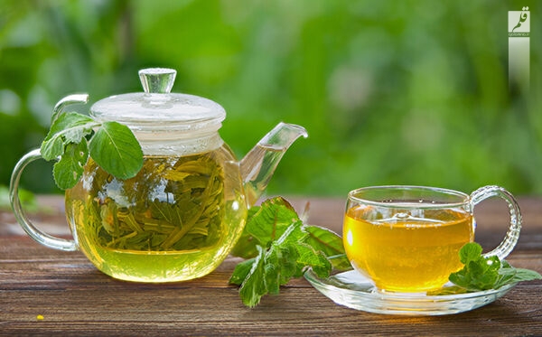 مصرف چای سبز موجب بهبود عملکرد مغز و پیشگیری از بروز برخی سرطان‌ها می‌شود