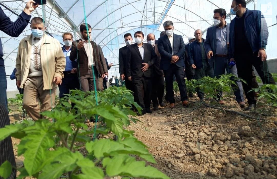 گسترش صنایع تبدیلی پیش شرط رونق صادرات محصولات کشاورزی کرمانشاه است