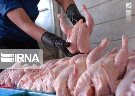 تولید روزانه گوشت مرغ در کرمانشاه به ۲۲۰ تُن افزایش می‌یابد