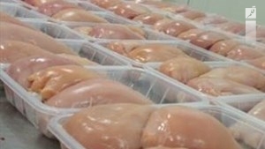 محکومیت بیش از۲ میلیاردی شرکت توزیع و بسته بندی مرغ در شیراز