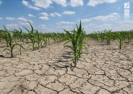 خسارت بیش از ۷ هزار میلیارد تومانی خشکسالی به فارس