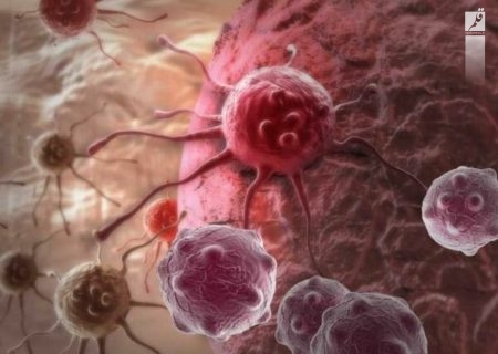 کشف پروتئینی که مانع گسترش سرطان پروستات می‌شود
