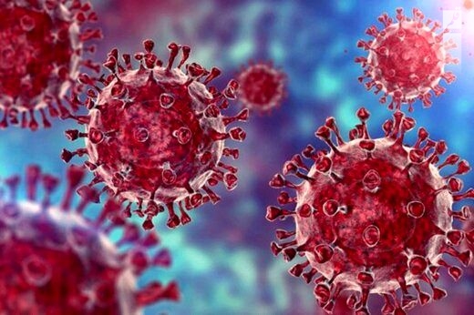 ثبت ۳ فوتی و شناسایی ۶۹۵مورد مبتلا به کرونا ویروس طی ۲۴ساعت گذشته در استان مرکزی