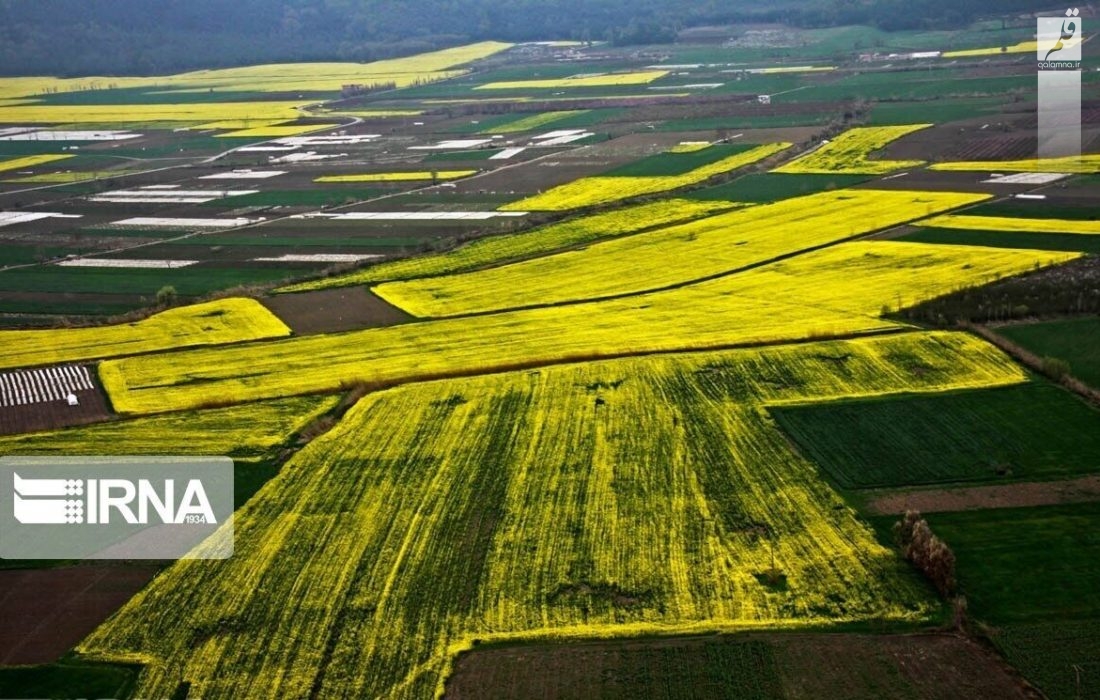 ورود دانش به کشاورزی موجب اشتغالزایی می‌شود