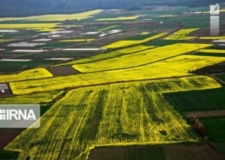 ورود دانش به کشاورزی موجب اشتغالزایی می‌شود