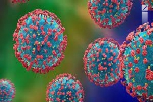 ثبت دو روز بدون فوتی و شناسایی ۵۹ مورد مبتلا به کرونا ویروس در ۴۸ ساعت گذشته