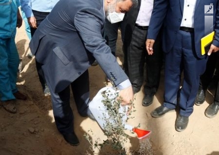 شهردار اهواز در جشن بزرگ هفته درختکاری: گونه های اصیل گیاهی باید به اهواز بازگردد