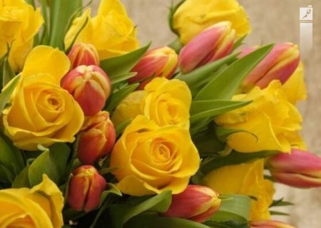 کاشت گل های بهاری در سطح شهر اراک برای استقبال از نوروز و بهار ۱۴۰۱