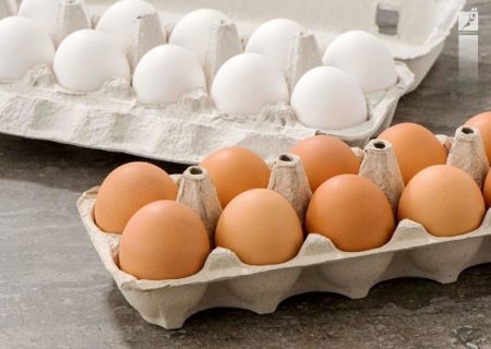 شناسایی کارگاه غیرمجاز بسته بندی تخم مرغ در اهواز