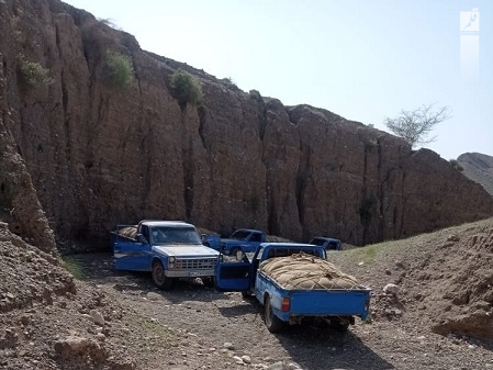 توقیف ۱۳ دستگاه خودروی حامل سوخت قاچاق در کوه های هشتبندی استان هرمزگان