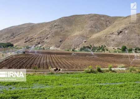 سامانه گرمسیری ۲۰ هزار هکتار از اراضی کشاورزی سرپل‌ذهاب را به آبی تبدیل کرده است