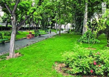 ایجاد ۵۰۰ هکتار فضای سبز به همت فولاد خوزستان