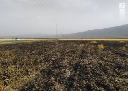 کشاورزان فارس خطر آتش‌ سوزی را جدی بگیرند