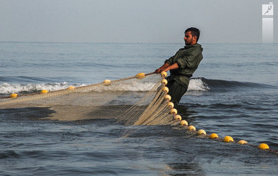 ممنوعیت صید ماهی حلوا سفید در صیدگاه‌های شمال غرب خلیج فارس