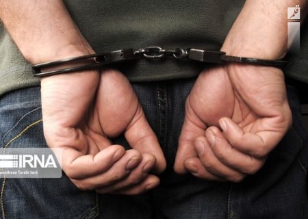دستگیری سارق به صورت آنلاین/ طرح جمع‌آوری معتادین پرخطر در پایتخت 