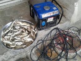 بازداشت صیادان غیر مجاز ماهی در پارک ملی کرخه