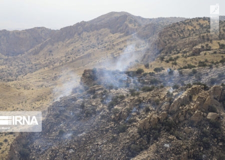 آتش سوزی در منطقه حفاظت شده کوه خامی باشت در حال گسترش است