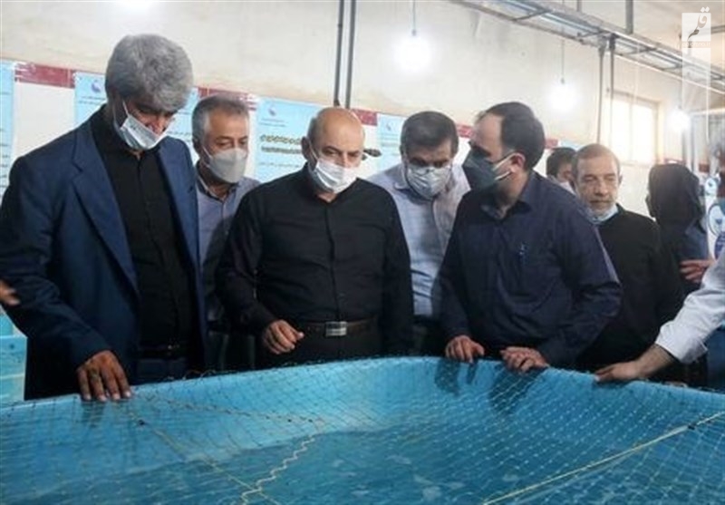 دستیابی به بیوتکنیک بچه ماهی سی‌باس آسیایی در خوزستان
