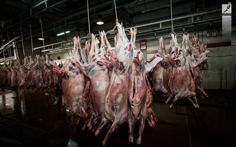 افزایش هفت درصدی عرضه گوشت قرمز