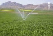 افزایش سطح زیر کشت پاییزه در خوزستان