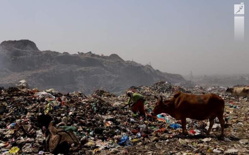 تولید سوخت از زباله‌های پلاستیکی در هند