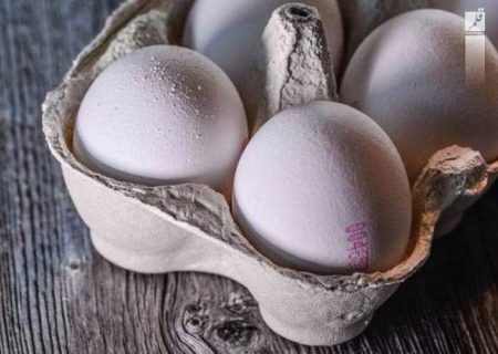قیمت جدید تخم مرغ در میادین