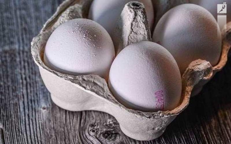 قیمت جدید تخم مرغ در میادین