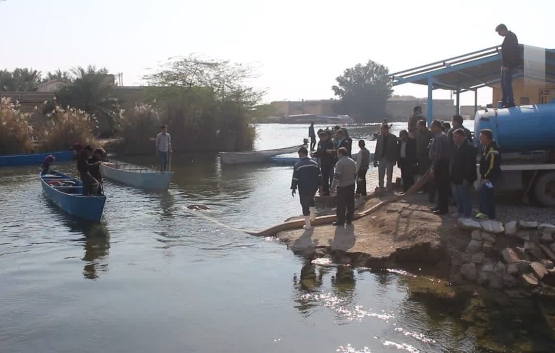 رهاسازی ۳۰۰ هزار قطعه بچه ماهی در تالاب شادگان