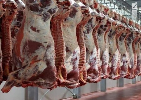 قیمت روز گوشت قرمز در ۱۰ اردیبهشت ۱۴۰۲/جدول