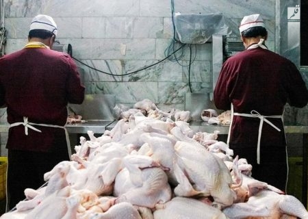 کشتارگاه مرغ پرناز در حمیدیه به چرخه تولید بازگشت