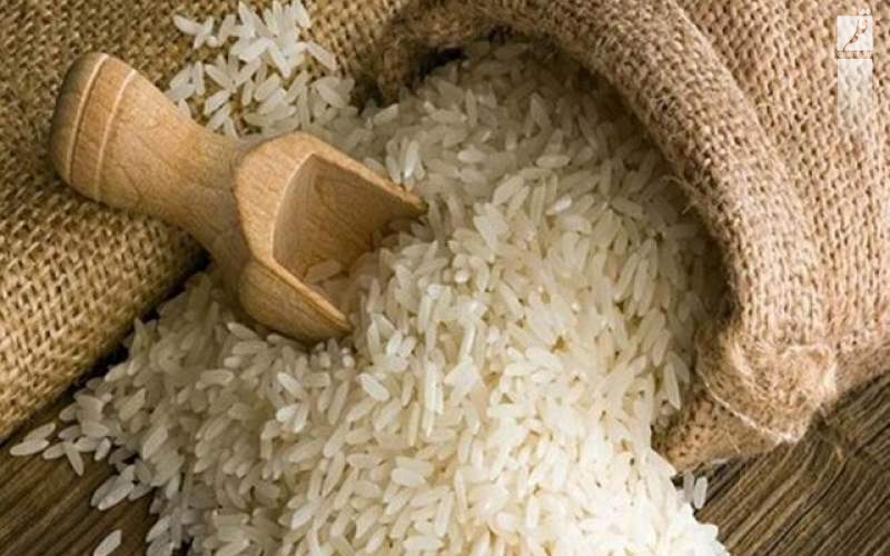 واردات برنج تا اطلاع ثانوی ممنوع شد