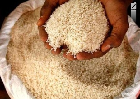 قیمت جدید انواع برنج ایرانی و خارجی در بازار