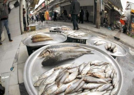 قیمت انواع ماهی اول مهر ۱۴۰۲/جدول
