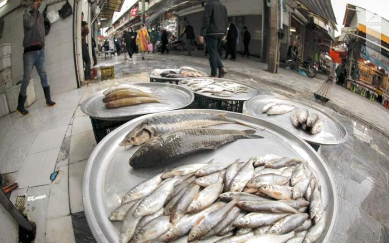 قیمت انواع ماهی اول مهر ۱۴۰۲/جدول