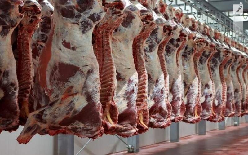 قیمت روز گوشت قرمز در ۱۱ شهریور ۱۴۰۲/جدول