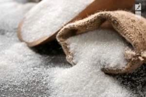 پیش‌بینی رشد ۲۰۰ درصدی تولید شکر در کشت و صنعت هفت‌تپه
