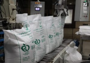 پیش‌بینی تولید بیش از ۷۰۰ هزار تُن شکر سفید در توسعه نیشکر خوزستان