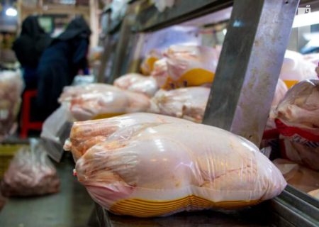 قیمت انواع مرغ در ۱۰ آبان ۱۴۰۲/جدول