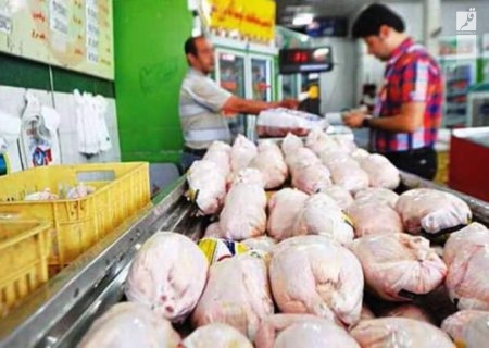 قیمت انواع مرغ در ۱۶ آبان ۱۴۰۲/جدول