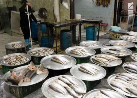 قیمت انواع ماهی ۱۲ آذر ۱۴۰۲/جدول