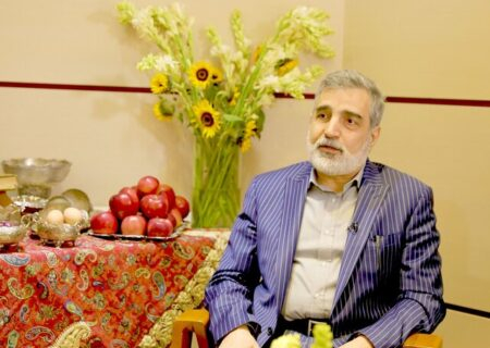 کمالوندی: آژانس دیگر نمی‌تواند در زمین دشمنان ایران بازی کند